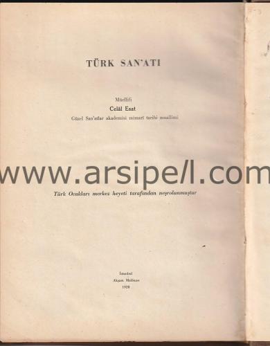 TÜRK SANATI