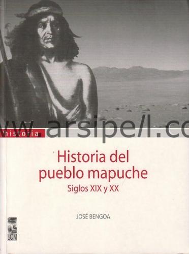 Historia Del Pueblo Mapuche