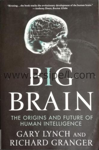 BIG BRAIN THE ORIGINS AND FUTURE OF HUMAN INTELLIGENCE