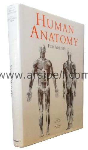 Human Anatomy for Artists